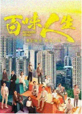 雾港来信 热播剧集在线看